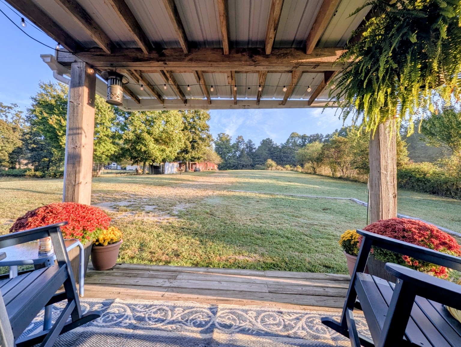 View from the Hamby Cottage front porch across the quiet lawn with rocking chairs, mums, trees, and morning light.